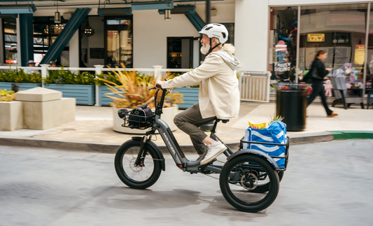 Mokwheel Granite - electric fat tire tricycle for adults