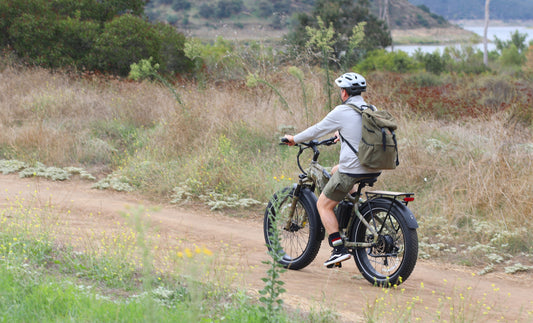 Mokwheel Basalt-electric hunting bikes for sale