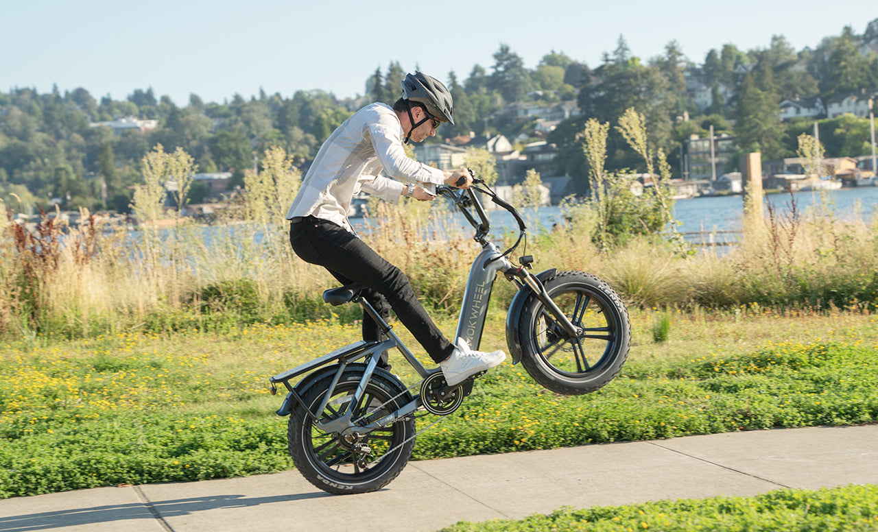 Fat Tire E-Bike: 20”x4” vs 26”x4” - Which One Wins?