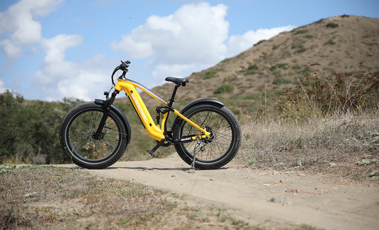 Mokwheel Obsidian Camouflage Electric Bike