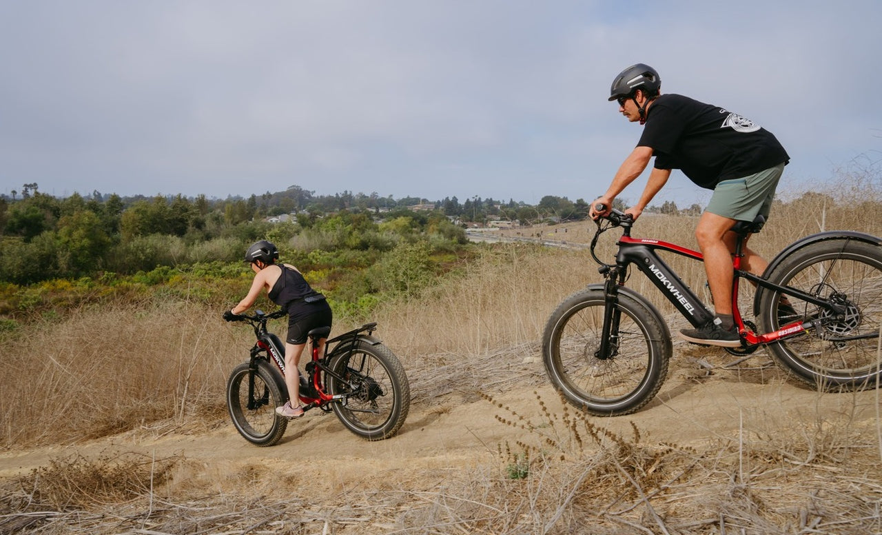 Best Fat Tire Electric Bike 1000w: Obsidian vs Obsidian ST