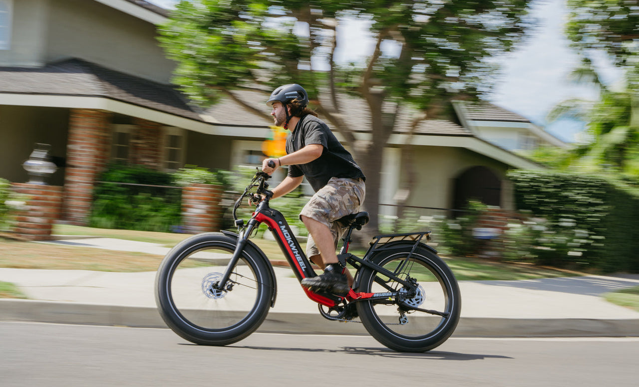 Mokwheel fast electric bike