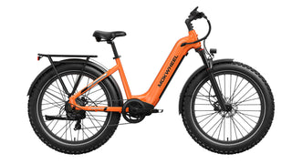 Mokwheel Basalt ST - electric mountain bike