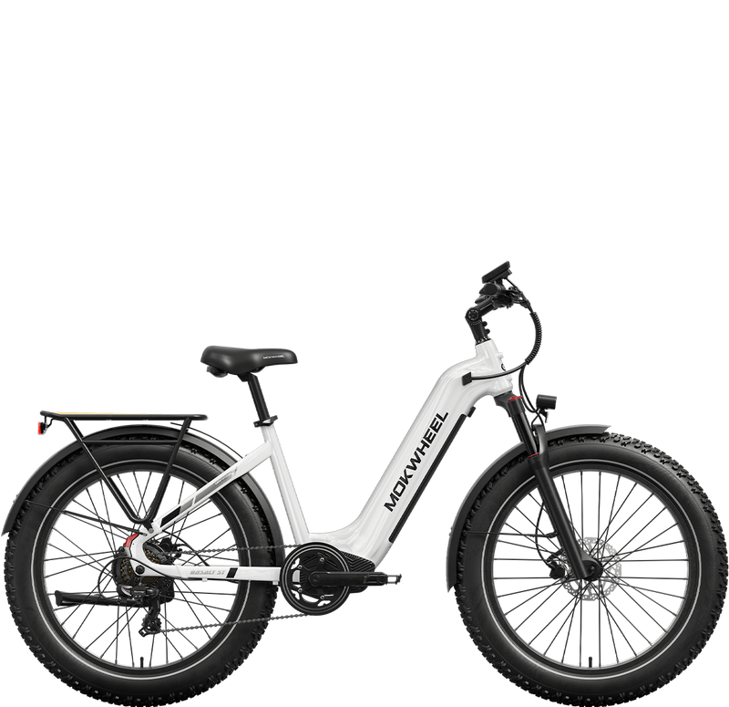 Mokwheel Basalt ST - fat tire electric bike for adults