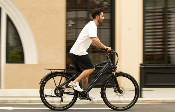 Mokwheel Ebikes