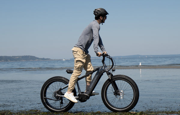 Mokwheel Ebikes